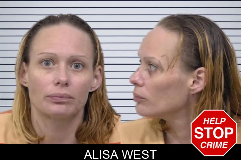 Alisa West mugshot – Paulding County , Georgia Alisa West mugshot