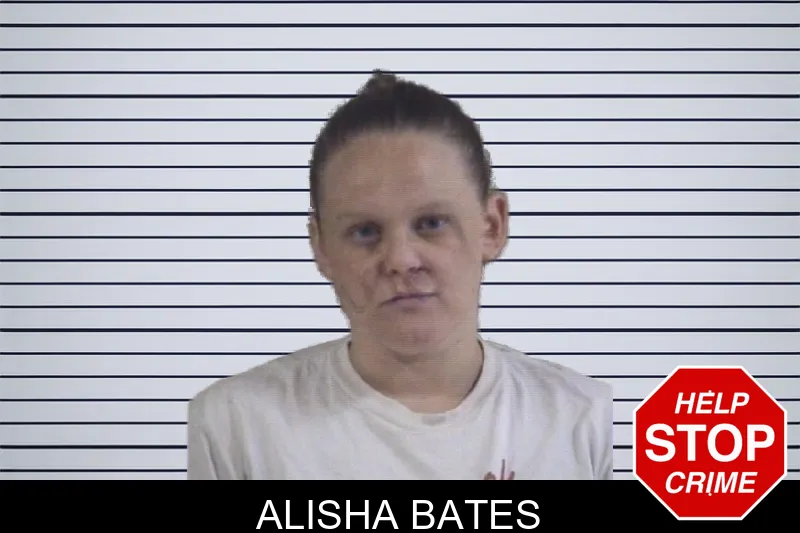 Alisha Bates mugshot – Whitfield County , Georgia Alisha Bates mugshot