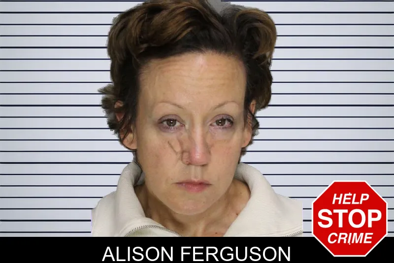 Alison Ferguson mugshot – Cobb County , Georgia Alison Ferguson mugshot