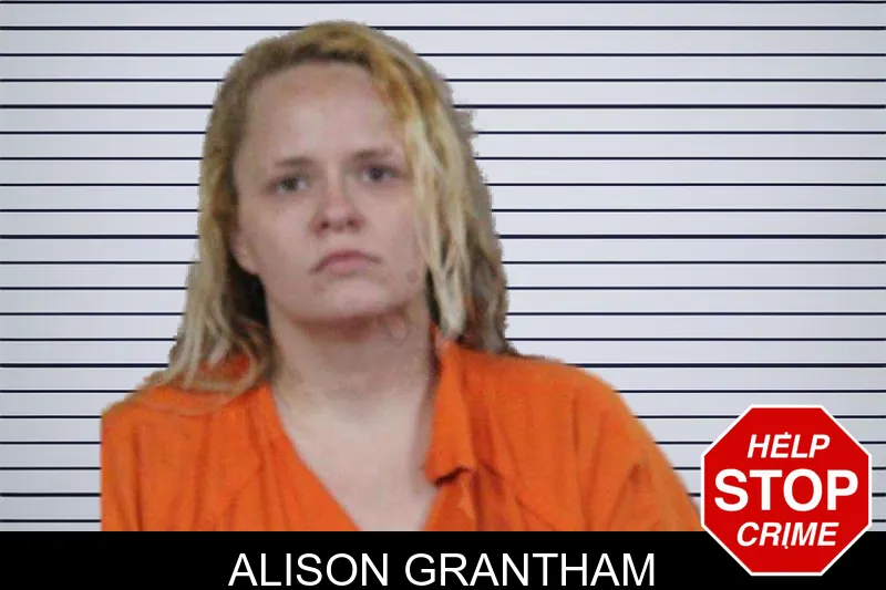Alison Grantham mugshot – Lamar County , Georgia Alison Grantham mugshot