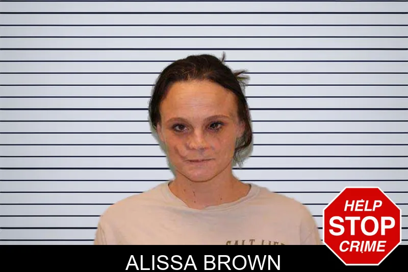 Alissa Brown mugshot