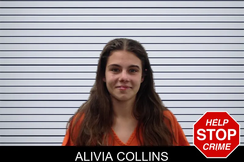 Alivia Collins mugshot