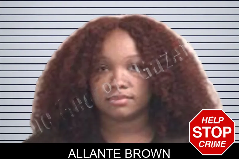 Allante Brown mugshot – Henry County , Georgia Allante Brown mugshot