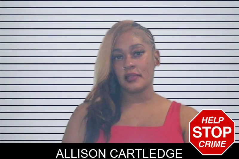 Allison Cartledge mugshot – McDuffie County , Georgia Allison Cartledge mugshot