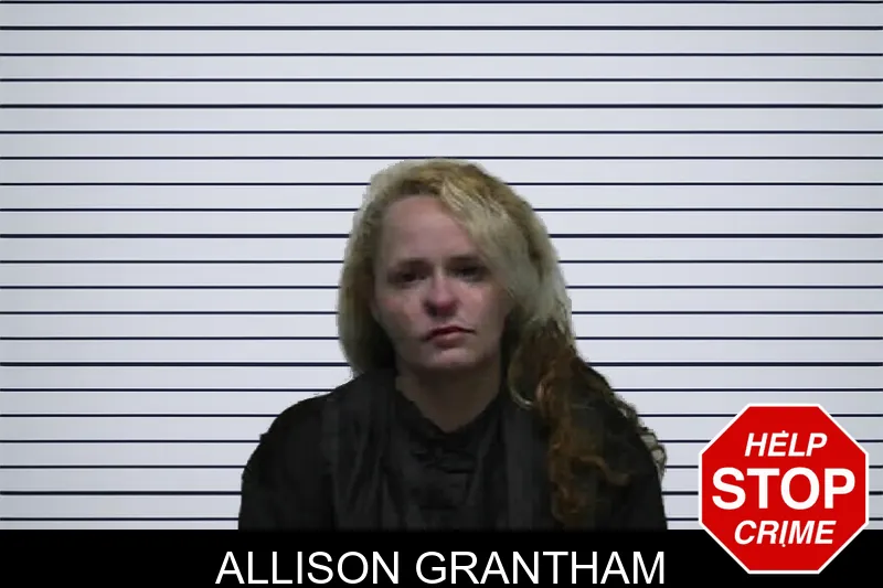 Allison Grantham mugshot