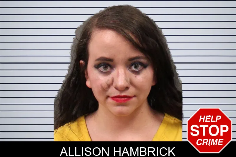 Allison Hambrick mugshot