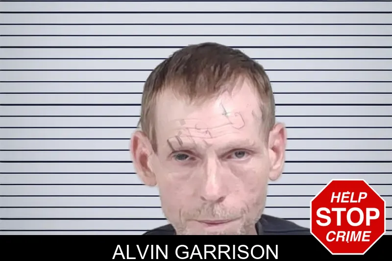 Alvin Garrison mugshot – Lowndes County , Georgia Alvin Garrison mugshot