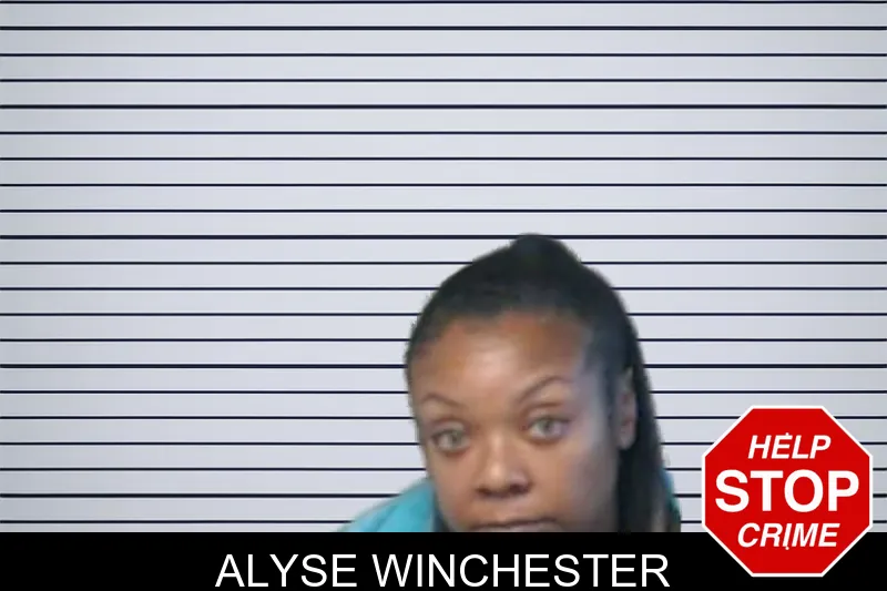 Alyse Winchester mugshot – DeKalb County , Georgia Alyse Winchester mugshot