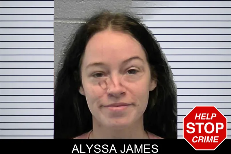 Alyssa James mugshot – Ware County , Georgia Alyssa James mugshot