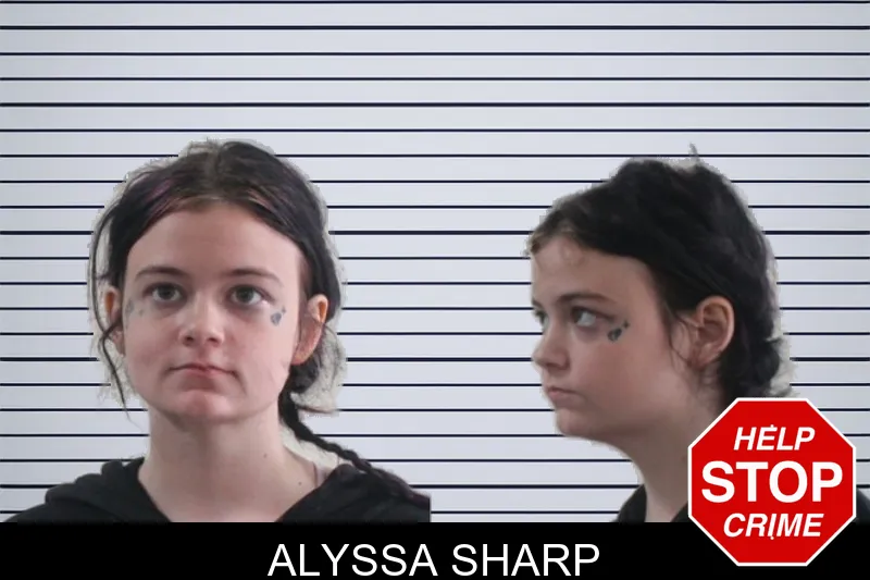 Alyssa Sharp mugshot – Houston County , Georgia Alyssa Sharp mugshot