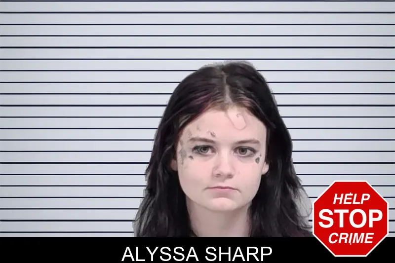 Alyssa Sharp mugshot – Lowndes County , Georgia Alyssa Sharp mugshot