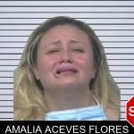 Amalia Aceves Flores mugshot – Gwinnett County , Georgia Amalia Aceves Flores mugshot