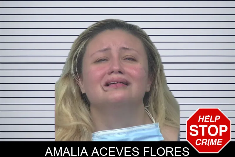 Amalia Aceves Flores mugshot – Gwinnett County , Georgia Amalia Aceves Flores mugshot
