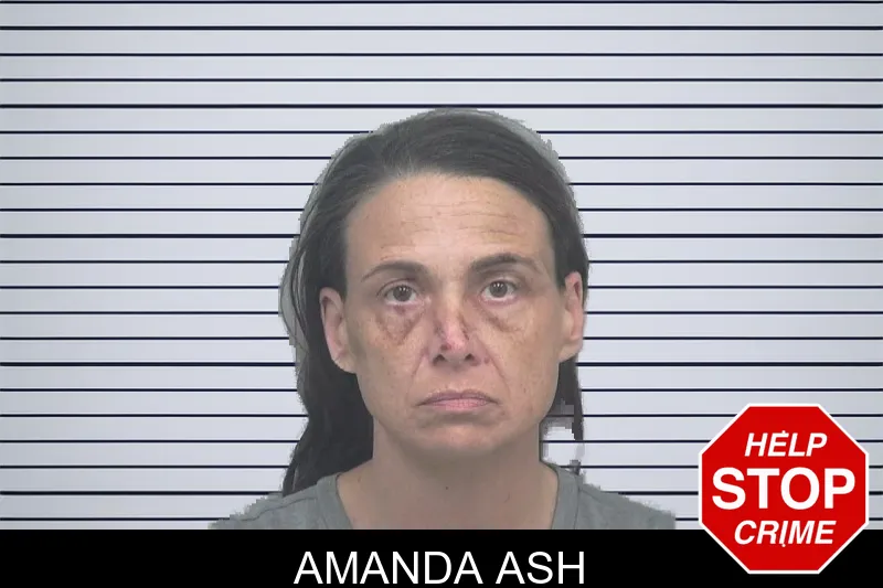Amanda Ash mugshot – Gwinnett County , Georgia Amanda Ash mugshot