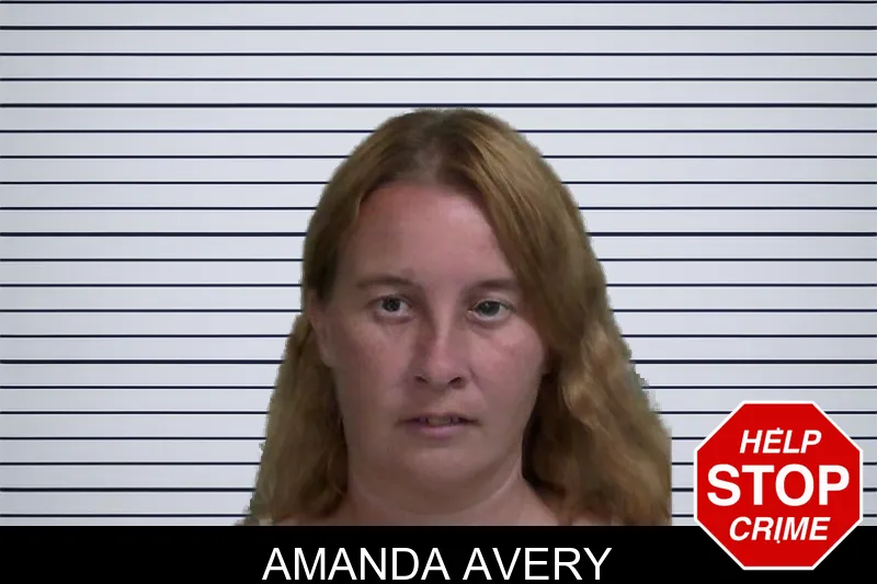 Amanda Avery mugshot – Wayne County , Georgia Amanda Avery mugshot