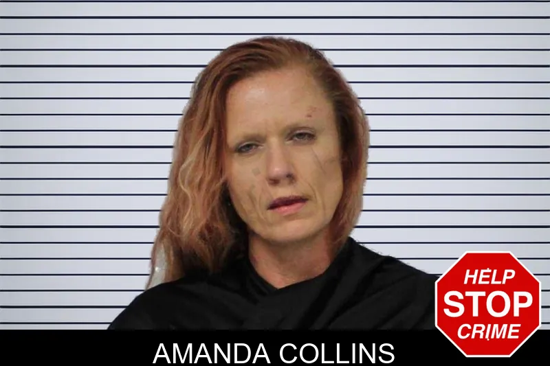Amanda Collins mugshot – Carroll County , Georgia Amanda Collins mugshot