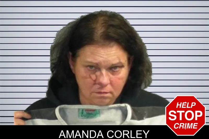 Amanda Corley mugshot – Upson County , Georgia Amanda Corley mugshot