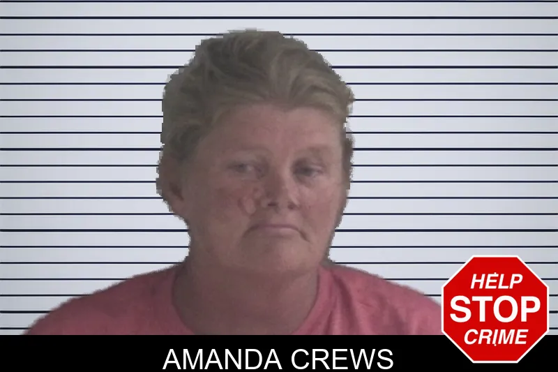 Amanda Crews mugshot – Brantley County , Georgia Amanda Crews mugshot