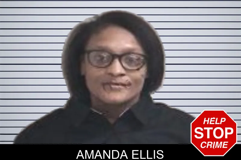 Amanda Ellis mugshot – Henry County , Georgia Amanda Ellis mugshot