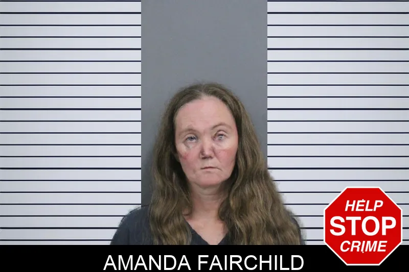 Amanda Fairchild mugshot – Catoosa County , Georgia Amanda Fairchild mugshot