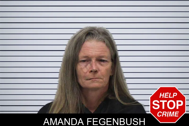 Amanda Fegenbush mugshot
