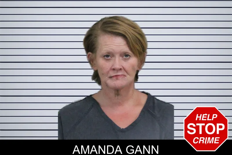 Amanda Gann mugshot – Catoosa County , Georgia Amanda Gann mugshot