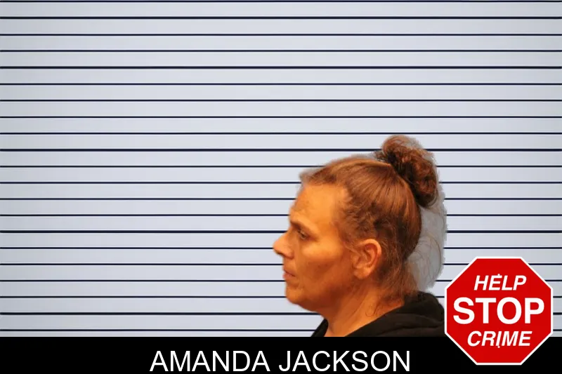 Amanda Jackson mugshot – Monroe County , Georgia Amanda Jackson mugshot
