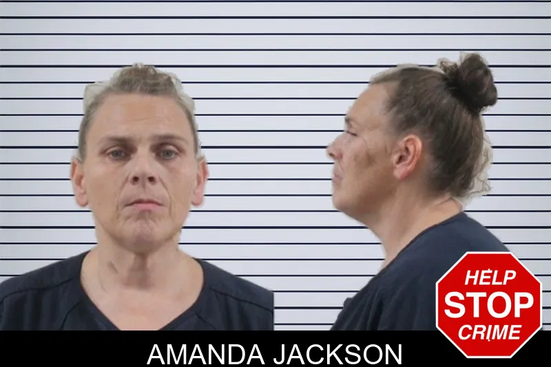Amanda Jackson mugshot – Houston County , Georgia Amanda Jackson mugshot