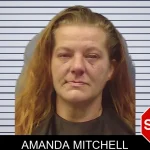 Amanda Mitchell mugshot – Chattooga County , Georgia Amanda Mitchell mugshot