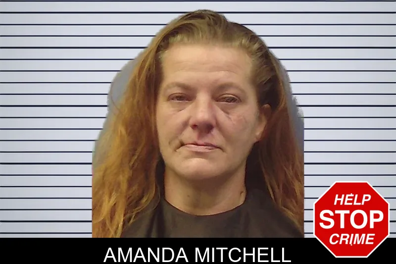 Amanda Mitchell mugshot – Chattooga County , Georgia Amanda Mitchell mugshot