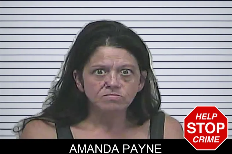 Amanda Payne mugshot