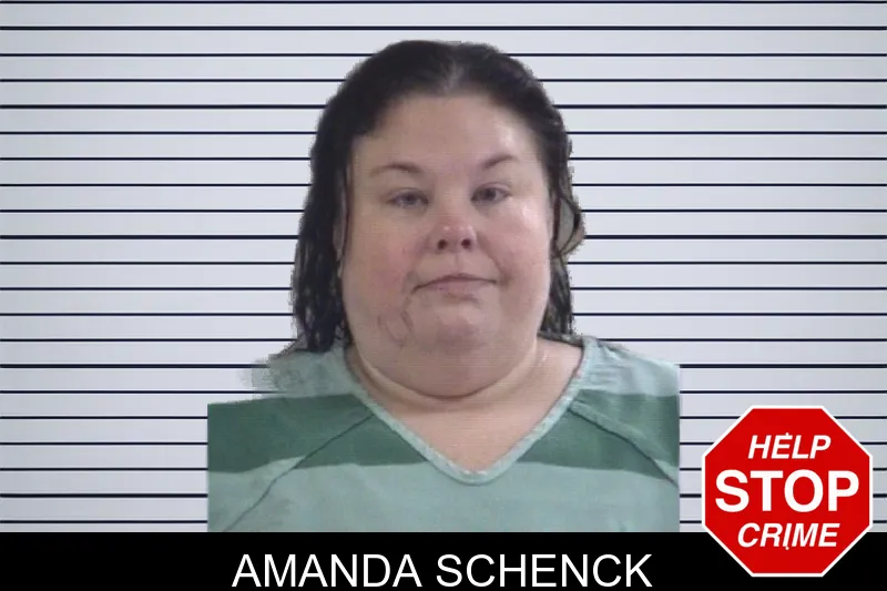 Amanda Schenck mugshot – Whitfield County , Georgia Amanda Schenck mugshot