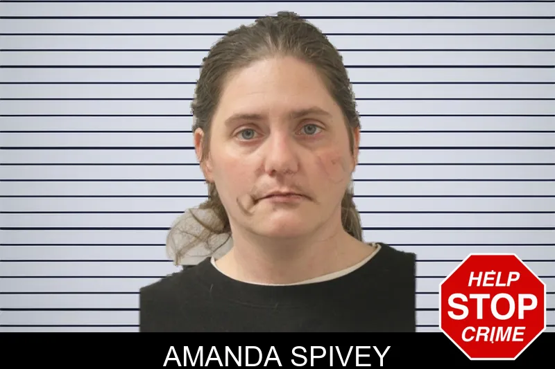 Amanda Spivey mugshot – Toombs County , Georgia Amanda Spivey mugshot