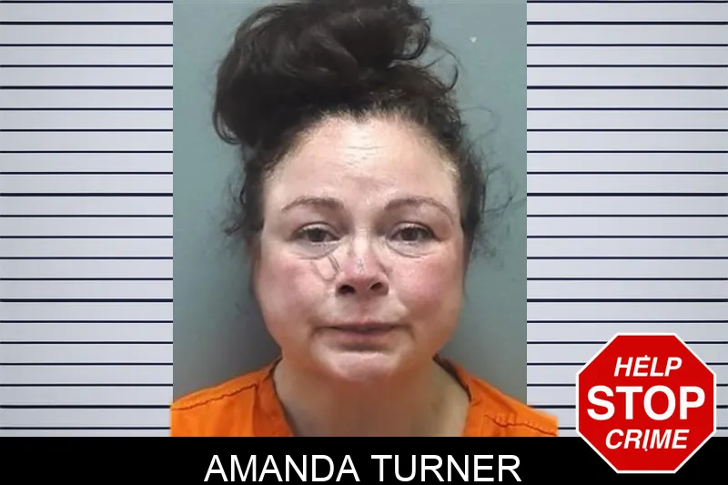 Amanda Turner mugshot
