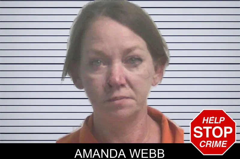 Amanda Webb mugshot