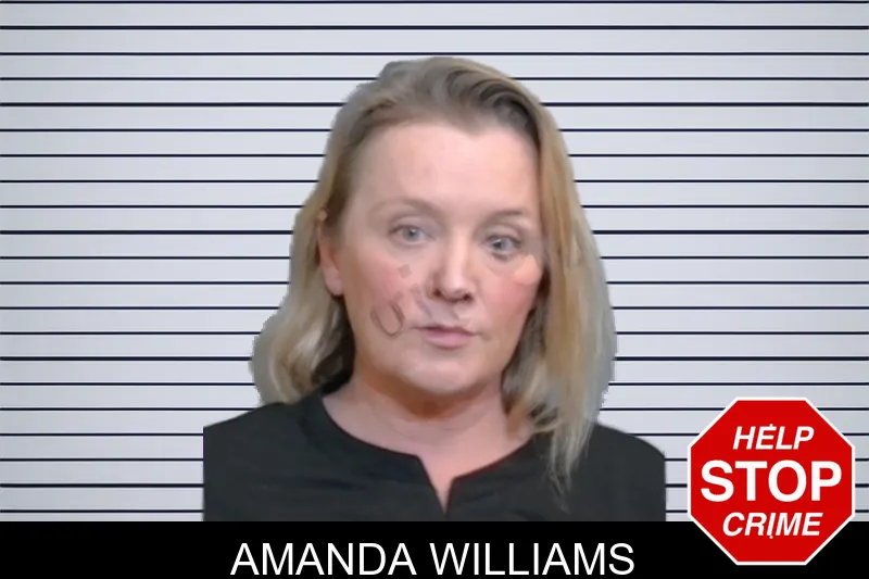 Amanda Williams mugshot – Glynn County , Georgia Amanda Williams mugshot