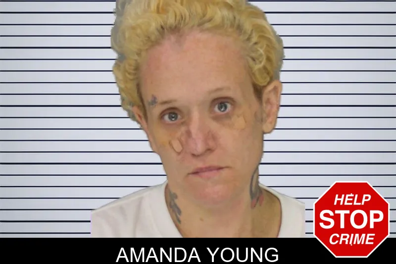 Amanda Young mugshot – Cobb County , Georgia Amanda Young mugshot