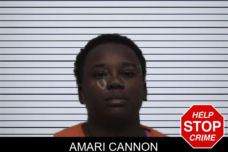 Amari Cannon mugshot
