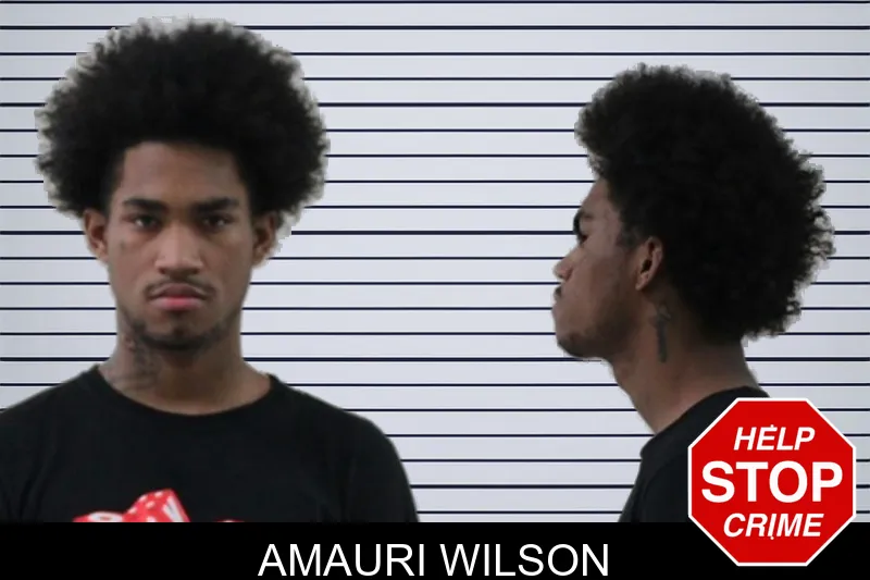 Amauri Wilson mugshot – Houston County , Georgia Amauri Wilson mugshot