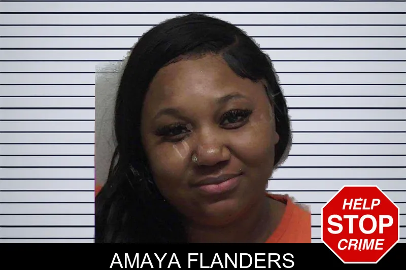 Amaya Flanders mugshot – Laurens County , Georgia Amaya Flanders mugshot