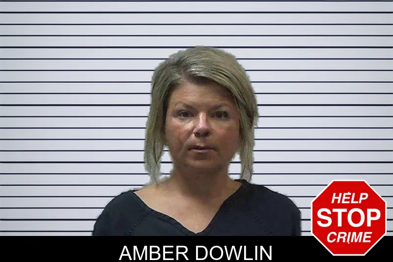 Amber Dowlin mugshot – Gilmer County , Georgia Amber Dowlin mugshot