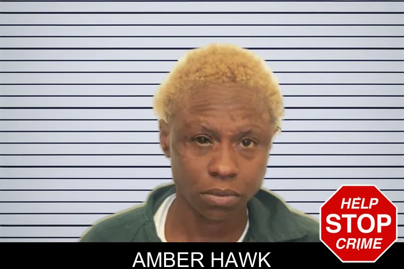 Amber Hawk mugshot – Chatham County , Georgia Amber Hawk mugshot