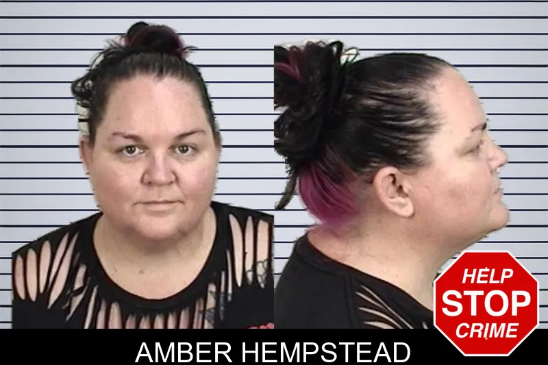 Amber Hempstead mugshot – Camden County , Georgia Amber Hempstead mugshot
