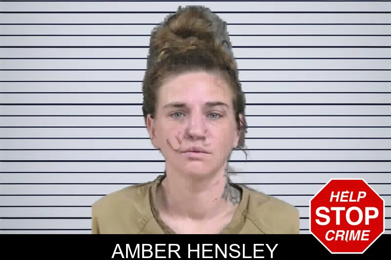 Amber Hensley mugshot – Gordon County , Georgia Amber Hensley mugshot