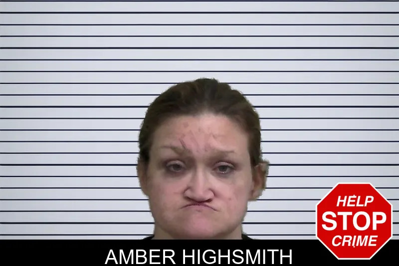 Amber Highsmith mugshot – Wayne County , Georgia Amber Highsmith mugshot