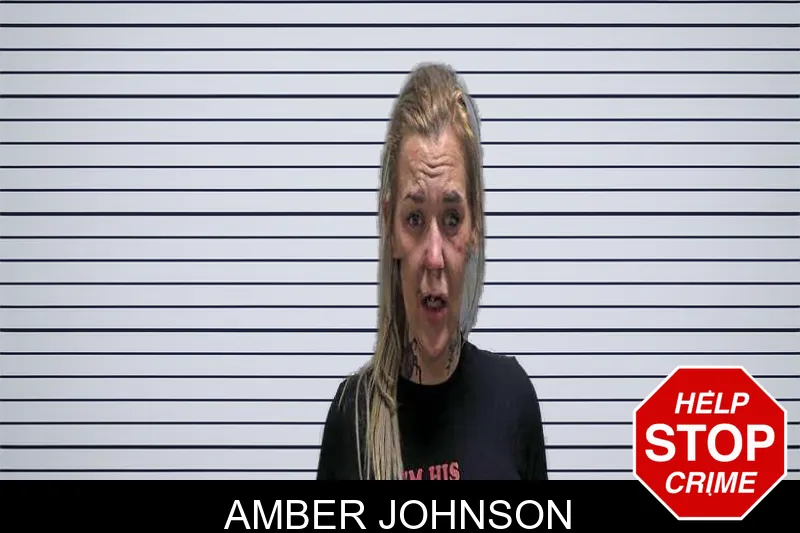Amber Johnson mugshot – Charlton County , Georgia Amber Johnson mugshot