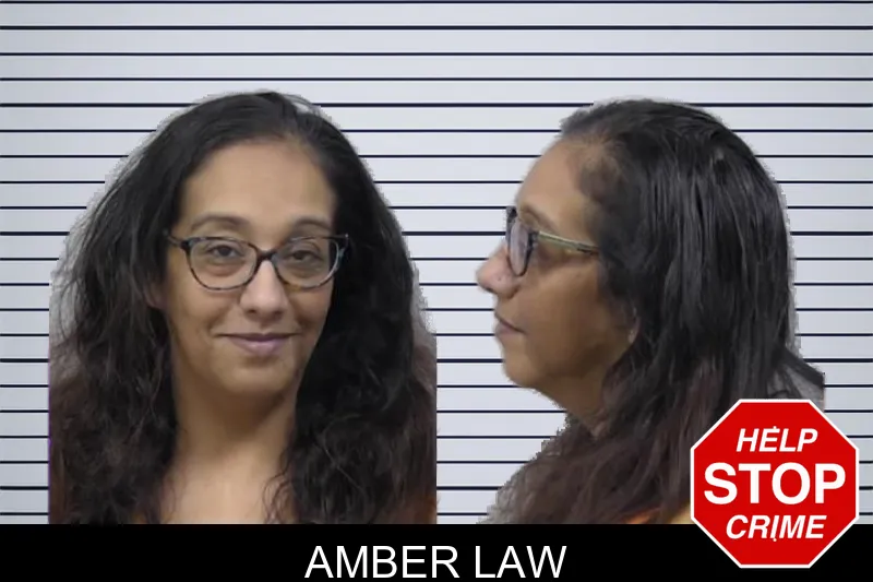 Amber Law mugshot