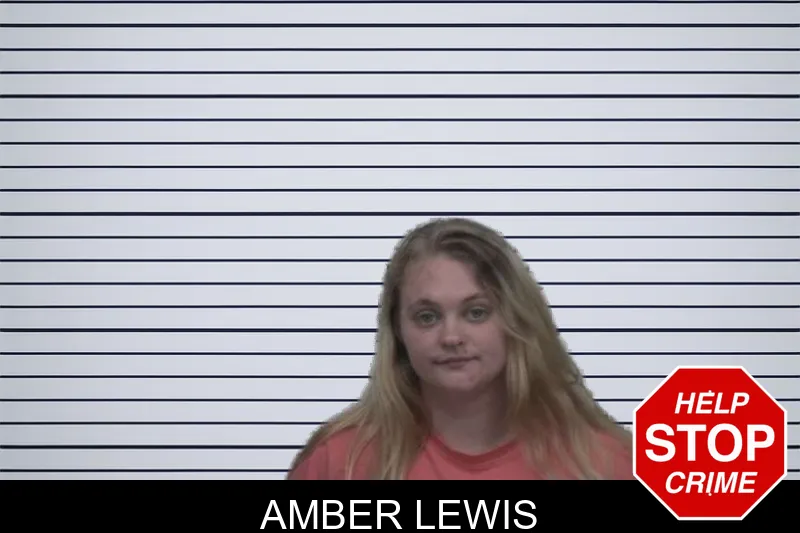 Amber Lewis mugshot – Sumter County , Georgia Amber Lewis mugshot