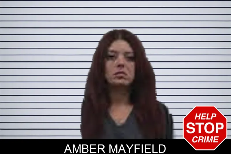 Amber Mayfield mugshot – Banks County , Georgia Amber Mayfield mugshot