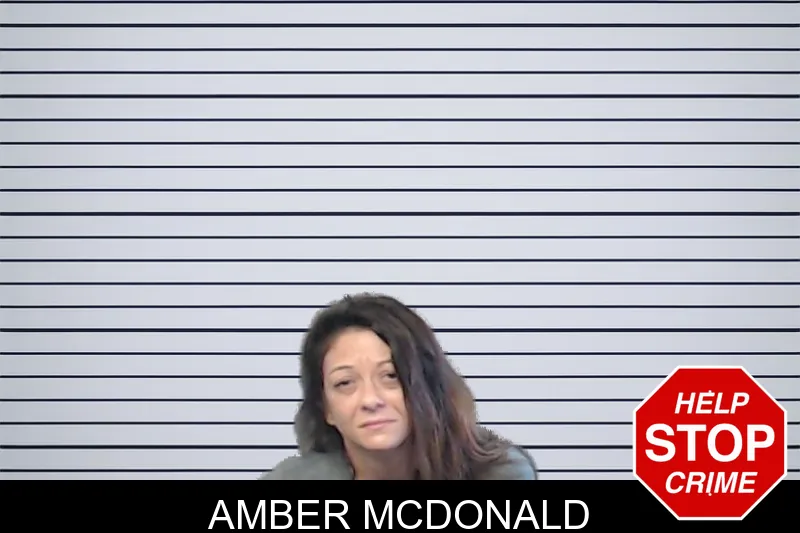 Amber McDonald mugshot – DeKalb County , Georgia Amber McDonald mugshot